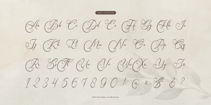 Karleysa Font Poster 10