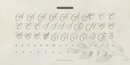 Karleysa Font Poster 11