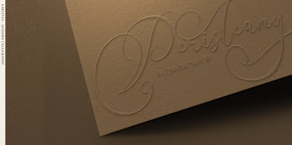 Karleysa Font Poster 6