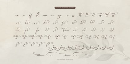 Karleysa Font Poster 12