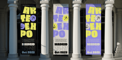 403 Zorn Font Poster 12