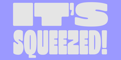 403 Zorn Font Poster 2