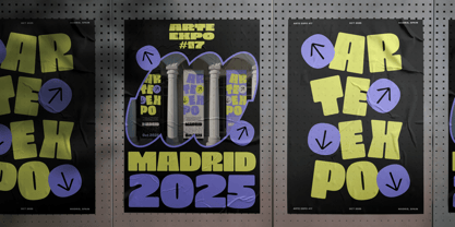 403 Zorn Font Poster 11