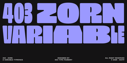 403 Zorn Font Poster 1