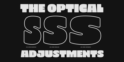 403 Zorn Font Poster 3