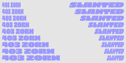 403 Zorn Font Poster 6