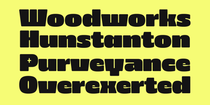 403 Zorn Font Poster 4