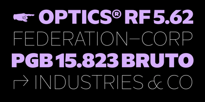 Luxbonfile Font Poster 13