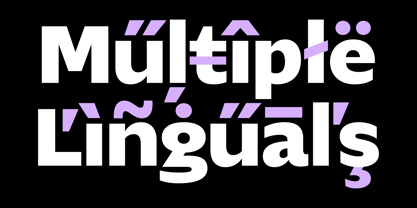 Luxbonfile Font Poster 14