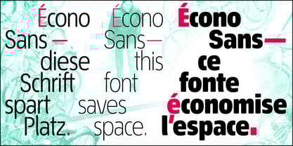 Econo Sans Font Poster 2