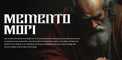 Boartus Font Poster 2