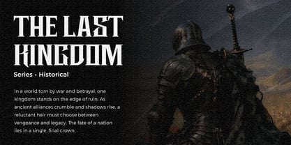 Boartus Font Poster 7