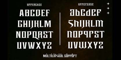 Boartus Font Poster 8