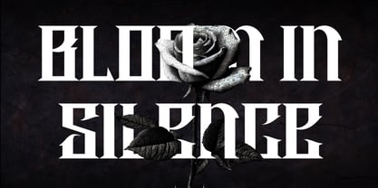 Boartus Font Poster 3