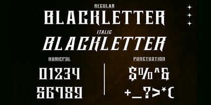 Boartus Font Poster 9