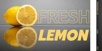 Zenwill Font Poster 2