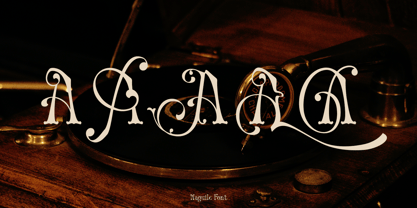 Naguile Font Poster 10