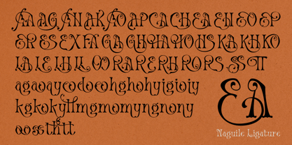 Naguile Font Poster 9