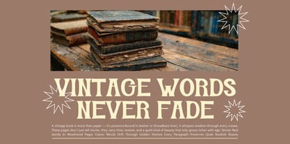 Firanza Display Font Poster 4