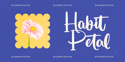 Dhaytime Bracket Font Poster 6