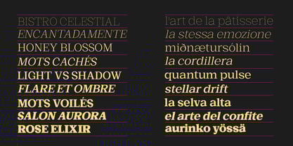 Basnet Font Poster 7