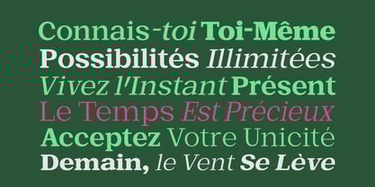 Basnet Font Poster 9