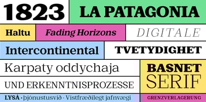 Basnet Font Poster 4