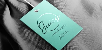 Heartline Script Font Poster 8