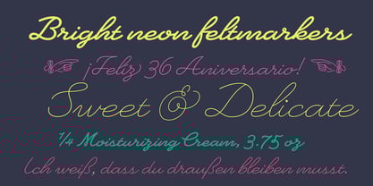 Heartline Script Font Poster 2