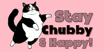 Fox Koolie Font Poster 5