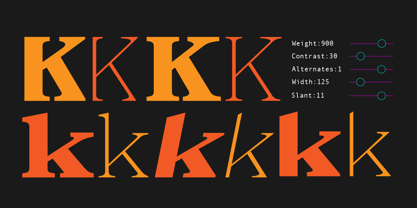 Eronita Font Poster 9