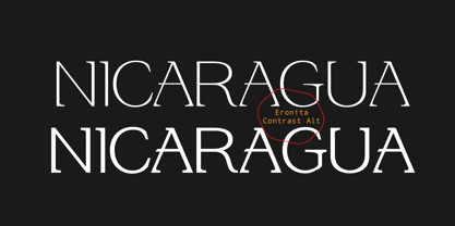 Eronita Font Poster 14