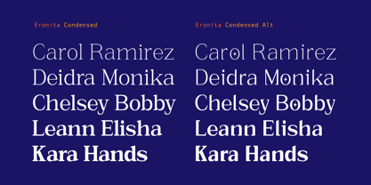 Eronita Font Poster 8