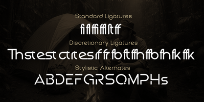 Great Gusto Font Poster 5