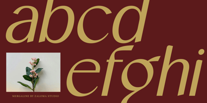 Mergaline Font Poster 7
