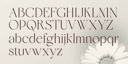 Meravila Font Poster 13