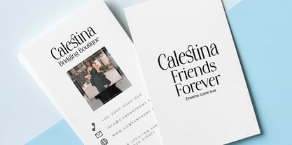 Stylish Avenger Font Poster 7