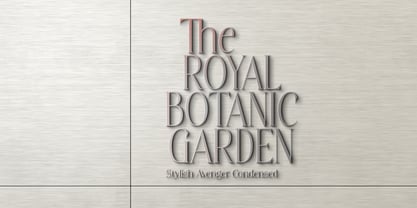 Stylish Avenger Font Poster 4