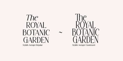 Stylish Avenger Font Poster 11