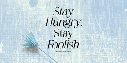 Stylish Avenger Font Poster 9