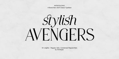 Stylish Avenger Font Poster 1