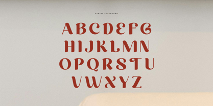 Rtains Font Poster 9