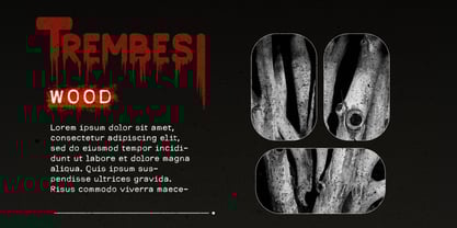 Bloodlust Font Poster 7