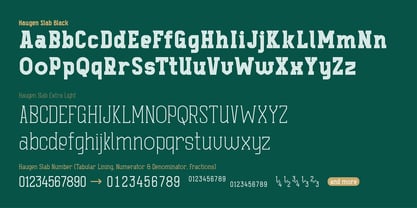 Haugen Slab Font Poster 3