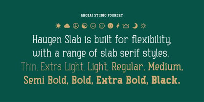 Haugen Slab Font Poster 2