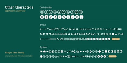 Haugen Slab Font Poster 4