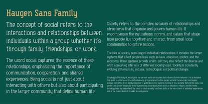 Haugen Slab Font Poster 7