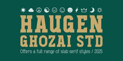 Haugen Slab Font Poster 8