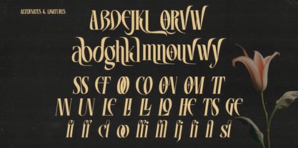 Vrassco Font Poster 8