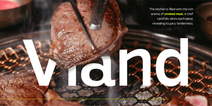 Viand Font Poster 2